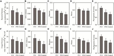 Effects of Cinnamomum camphora coppice planting on soil fertility, microbial community structure and enzyme activity in subtropical China